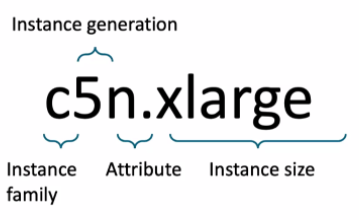 instance typer